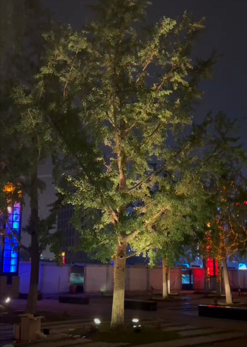 RGB外控512投光燈實戰(zhàn)效果-江蘇宿遷某縣城政府廣場用燈